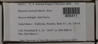Image Associated With the Occurence